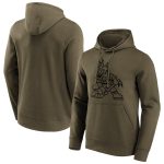 Arizona Coyotes Iconic Preferred Logo Graphic Hoodie