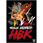 WWE Shawn Michaels HBK Poster - Unframed A3