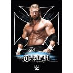 WWE Triple H Graphic Poster - Unframed A2