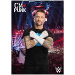 WWE CM Punk Crowd Poster - Unframed A3