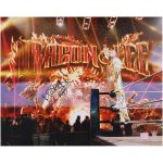 Dragon Lee WWE Autographed 16" x 20" Entrance Photograph