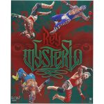 Rey Mysterio WWE 16" x 20" Photo Print - Designed & Signed by Artist Brian Konnick - Limited Edition of 99