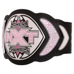 WWE NXT Women's Championship 2014 Retro Replica Title Belt