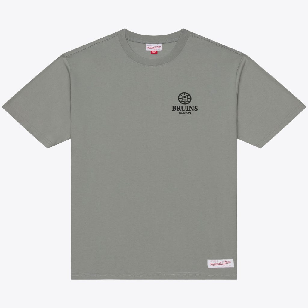 Men's Mitchell & Ness Gray Boston Bruins Core Essentials T-Shirt